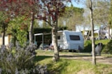Foto #5 van Camping Panorama del Chianti