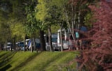 Foto #7 van Camping Panorama del Chianti