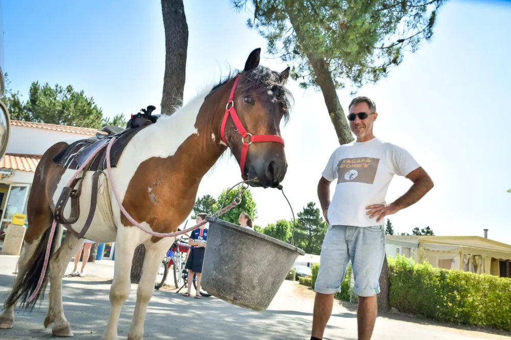 Camping l'Escale du Perthuis