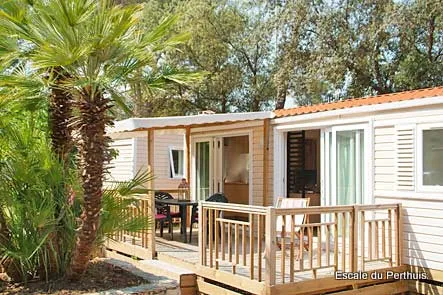 Location - Mobil-Home Confort 32M² 3 Chambres + Terrasse Semi-Couverte (Coté Plage) - Flower Camping l'Escale du Perthuis
