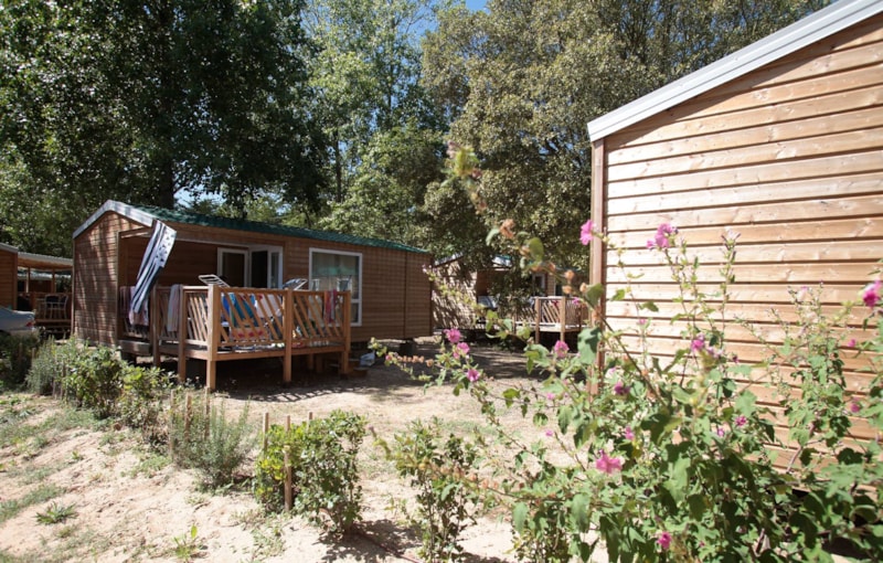 Mobil-Home Standard 25m² 2 chambres + terrasse semi-couverte
