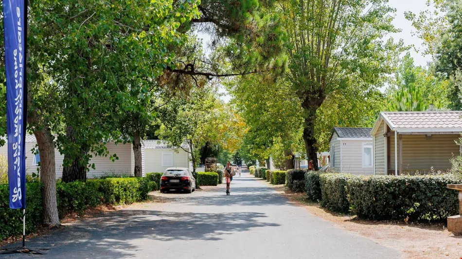 Flower Camping l'Escale du Perthuis