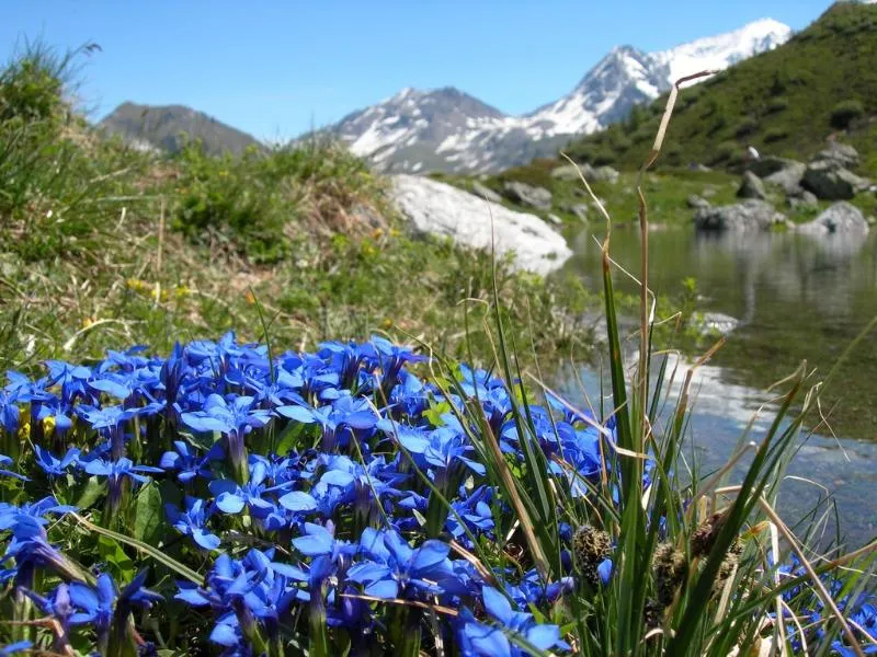 Camping Qualité l'Eden de la Vanoise