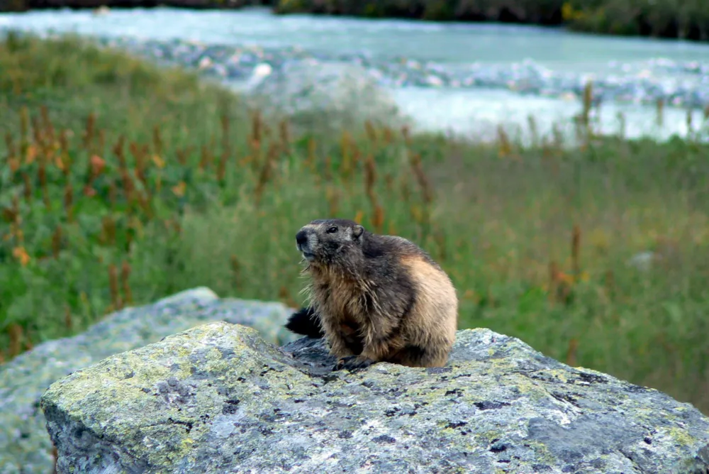 Camping Qualité l'Eden de la Vanoise