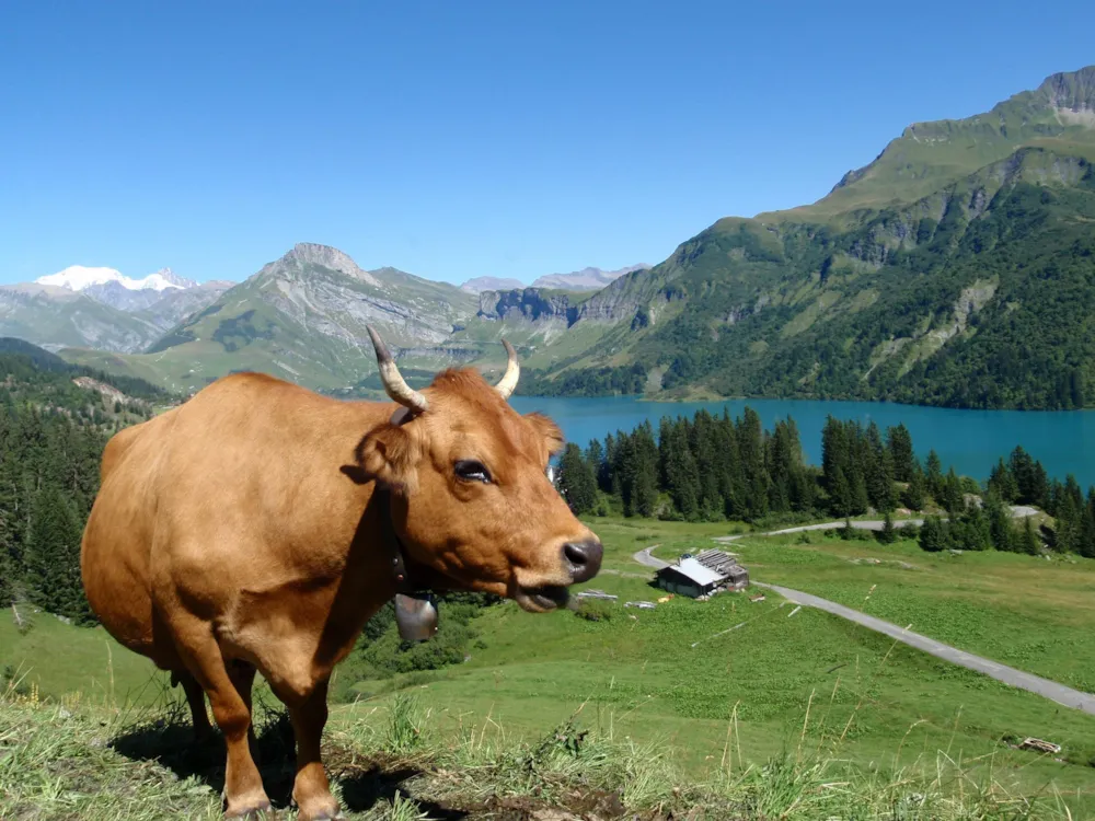 Camping Qualité l'Eden de la Vanoise