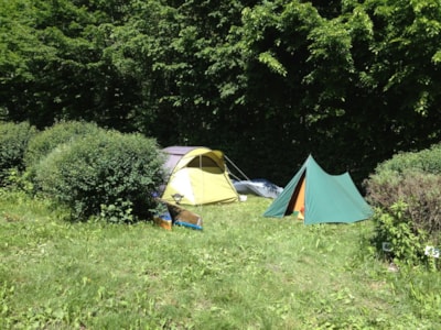 Large pitch 100-120m², without electricity (1 installation/1 car/no electricity)