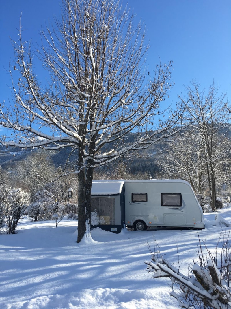 Grote staanplaats 100-120m², elektriciteit 10A (1 tent, caravan of camper / 1 auto / 10A elektricite