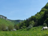 Foto #25 van Camping Le Bivouac