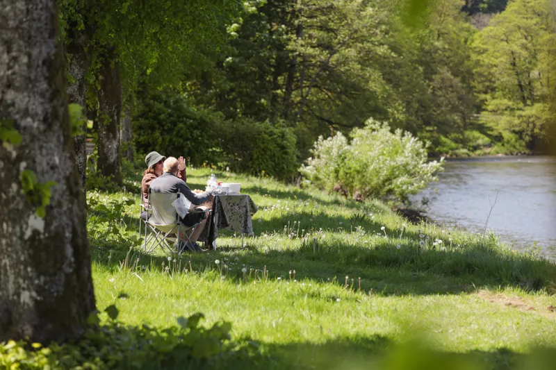 Emplacement Confort Semois : 1 Tente, Caravane Ou Camping-Car + 1 Voiture + Électricité (10A)