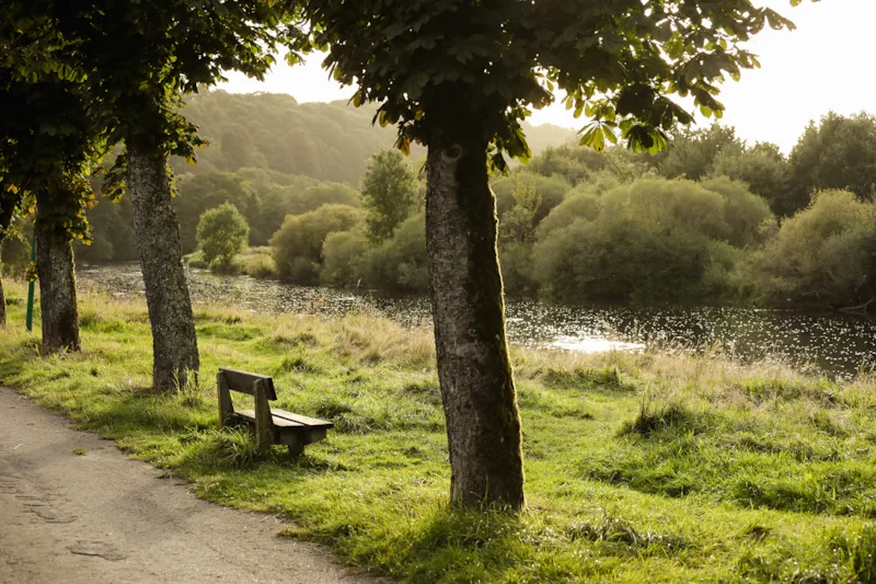 Emplacement Confort Semois : 1 Tente, Caravane Ou Camping-Car + 1 Voiture + Électricité (10A)