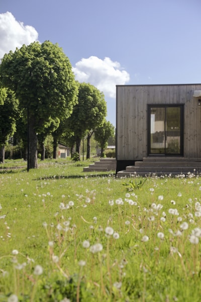 Lodge Family 34.02 m² - 2 bedrooms + Terrace + TV — 7