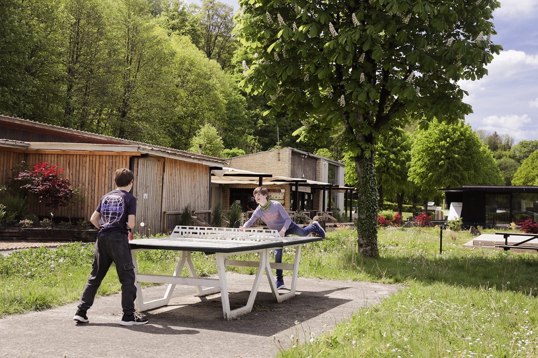 Le Florenville – Camping — Foto 4