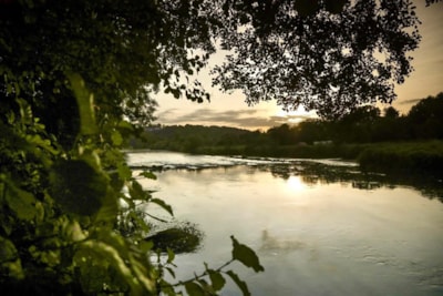 Villa 2 bedrooms by the Semois river - 35 m² + covered terrace