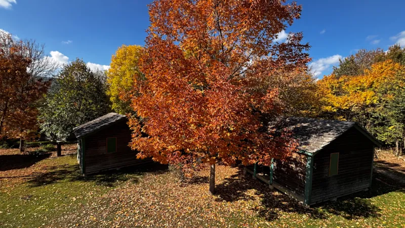 Bungalow Isabelle (Sans Sanitaires)