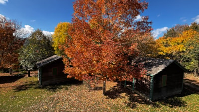 Bungalow Olga (without toilet blocks)