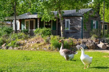 Camping Le Plô - image n°2 - Camping Direct