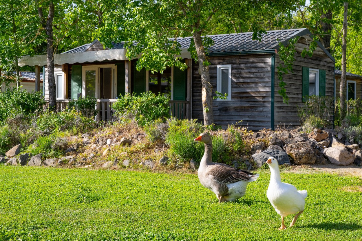 Camping Le Plô Aveyron