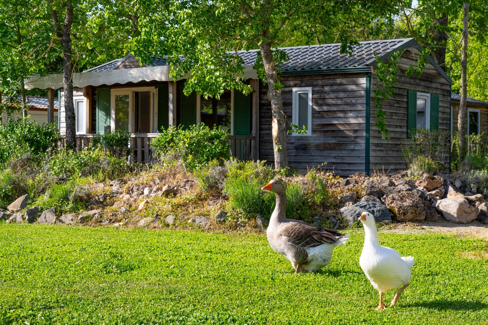 Camping Le Plô Aveyron — Photo 2