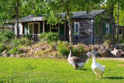 Camping Le Plô Aveyron