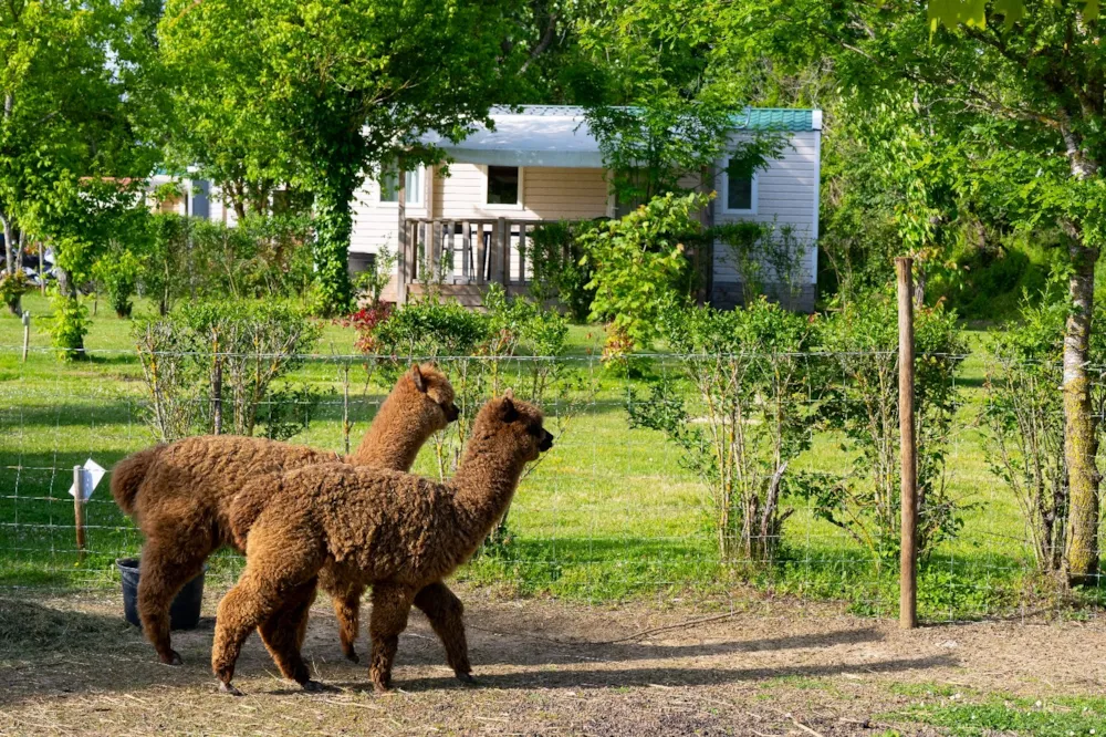 Camping Le Plô - image n°7 - UniversalBooking