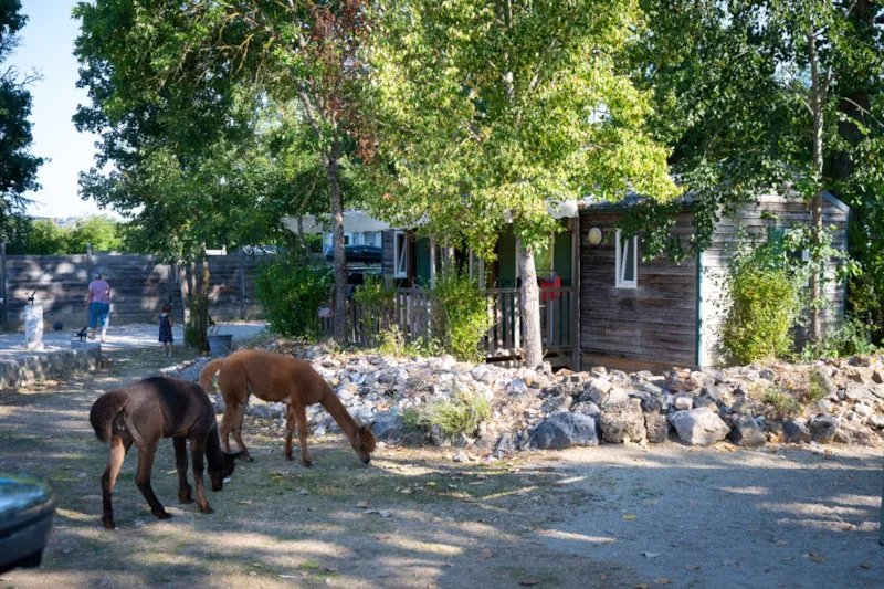 Chalet Aubrac – 4 Personnes – Sans Sanitaires 🌿