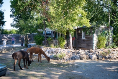 Aubrac Cabin – Sleeps 4 – No bathroom facilities