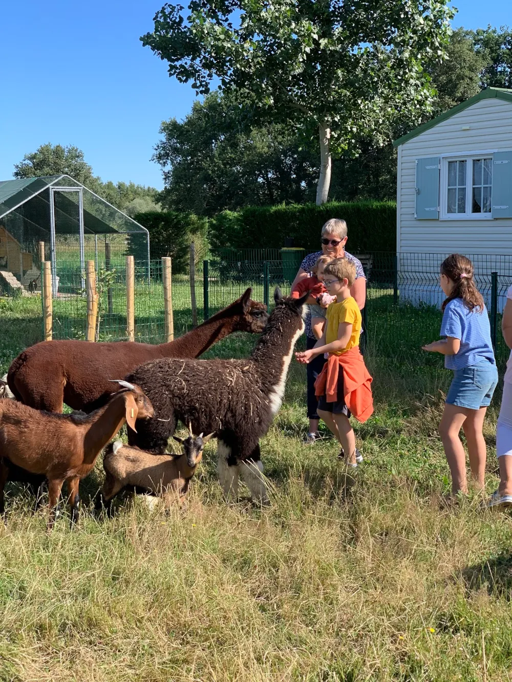 Camping Maeva Escapades Bel Air - image n°4 - UniversalBooking