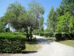 Camping Maeva Escapade Bel Air - image n°10 - UniversalBooking