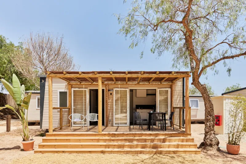 Bungalow Premium Agave