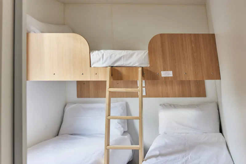 Bungalow Premium Agave