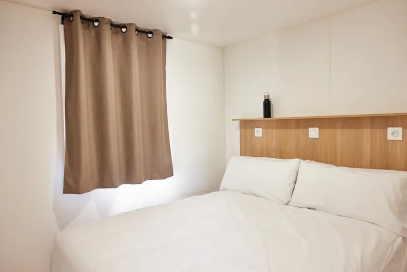 Bungalow Premium Agave