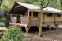 Safari Lodge Safari Lodge