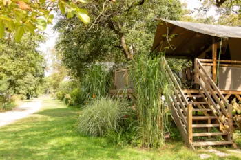 Mietunterkunft - Safari Lodge - Camping Du Port
