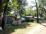 Foto #3 van Camping LES CHALETS SUR LA DORDOGNE