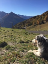 Foto #36 van Drau Camping Sachsenburg