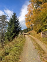 Foto #38 van Drau Camping Sachsenburg