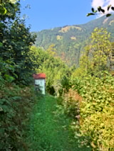 Foto #42 van Drau Camping Sachsenburg