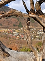 Foto #47 van Drau Camping Sachsenburg