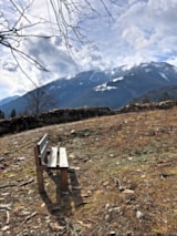 Foto #48 van Drau Camping Sachsenburg