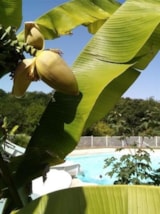 Foto #19 van Camping Domaine Le Quercy