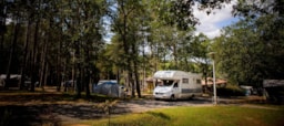 Camping Domaine Le Quercy - image n°1 - Roulottes