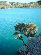 Foto #10 van Camping La Grangeonne