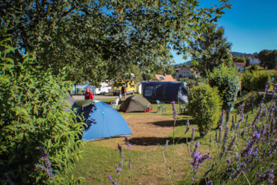 Pitch Small Tent