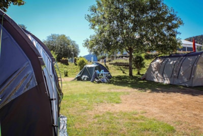 Pitch Small Tent