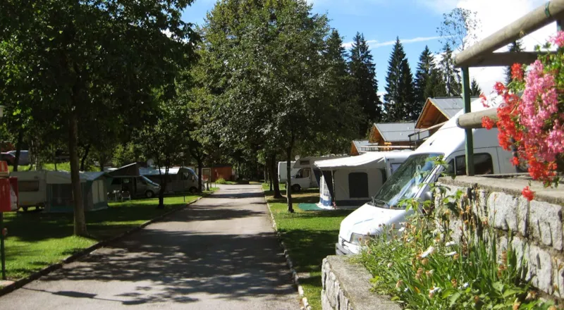 Emplacement : Voiture + Tente/Caravane Ou Camping-Car + Électricité + Eau Chaude