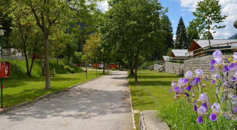 Emplacement : Voiture + Tente/Caravane Ou Camping-Car + Électricité + Eau Chaude