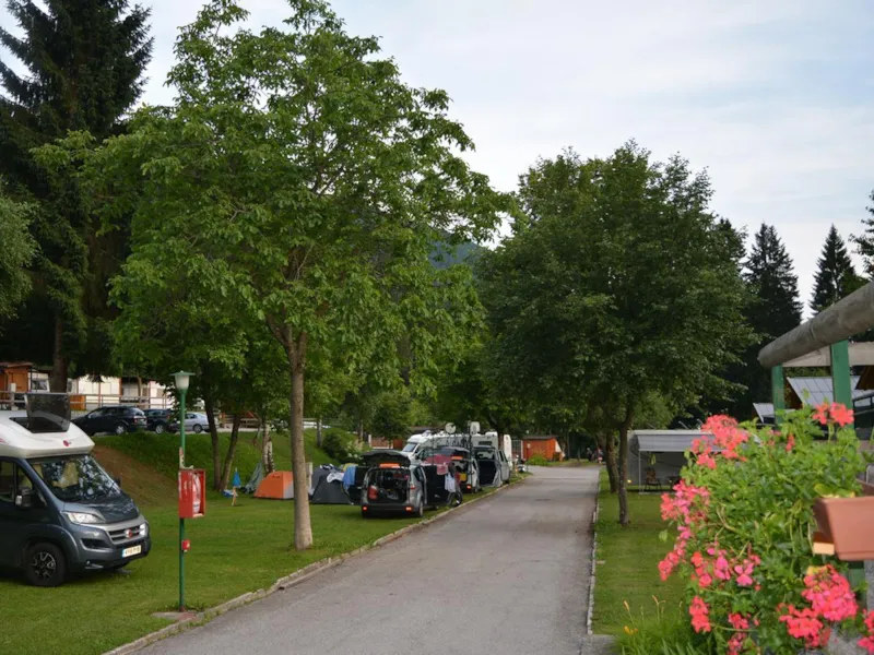 Emplacement : Voiture + Tente/Caravane Ou Camping-Car + Électricité + Eau Chaude
