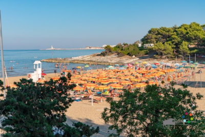 Camping Punta Lunga