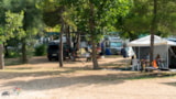Foto #9 van Camping Punta Lunga
