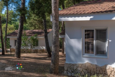 Camping Punta Lunga